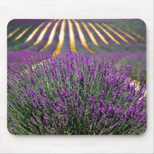 Field of purple lavender mouse mat