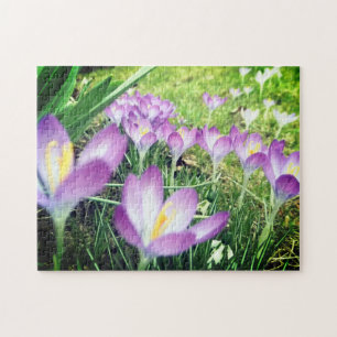Field of Purple Spring Flowers Crocus Flower Lilac Jigsaw Puzzle