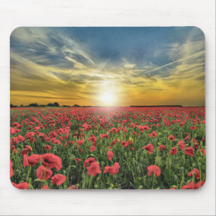 Field Of Red Flowers At Sunset Mouse Mat