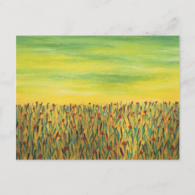 Field of Red Flowers Postcard (Front)