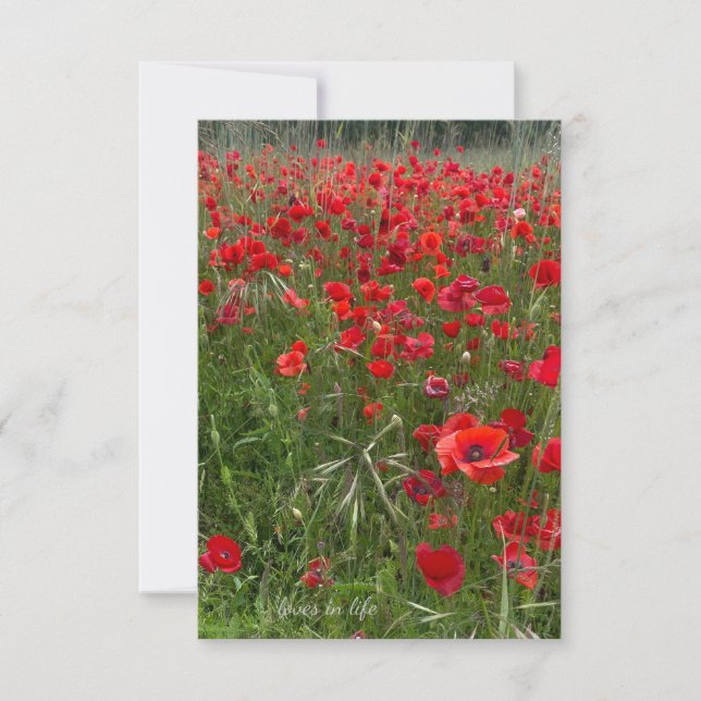 Field of Red Poppies Card (Front)