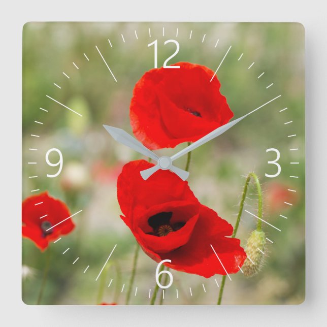 Field of red poppies square wall clock (Front)