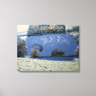 Field of shadows near Youlgrave Derbyshire Canvas Print