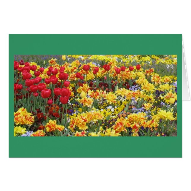 Field of Spring flowers (Front Horizontal)