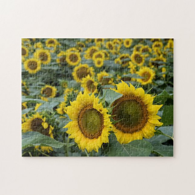 Field of Sunflowers - 11x14 inch Jigsaw Puzzle (Horizontal)
