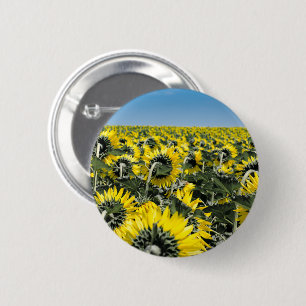 Field of Sunflowers 6 Cm Round Badge