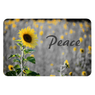 Field of Sunflowers, Black & White, Peace Magnet