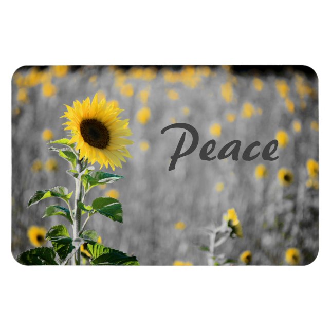 Field of Sunflowers, Black & White, Peace Magnet (Horizontal)