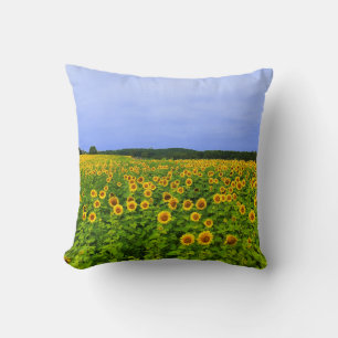 Field of Sunflowers Cushion