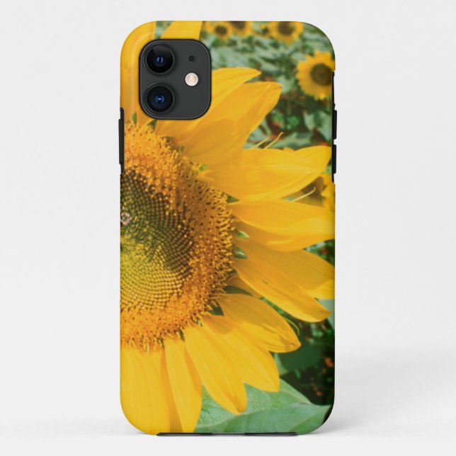 Field Of Sunflowers. Heidleberg District Case-Mate iPhone Case (Back)