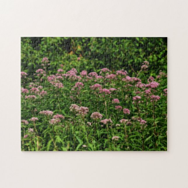 Field Of Sweet Joe Pye Weed Flowers Orton  Jigsaw Puzzle (Horizontal)