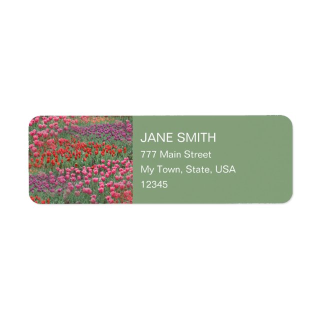 Field Of Tulips (Front)