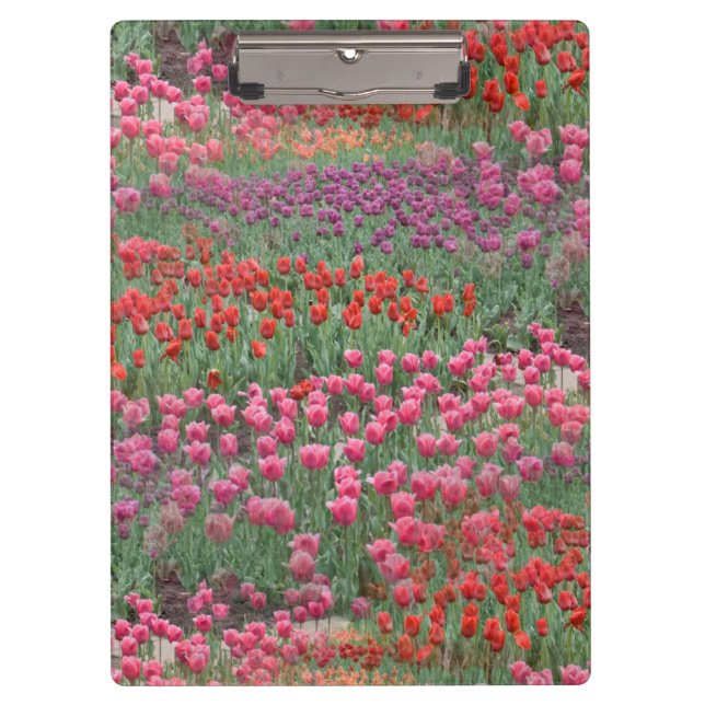 Field Of Tulips Clipboard (Front)
