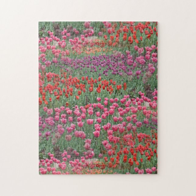 Field Of Tulips Jigsaw Puzzle (Vertical)