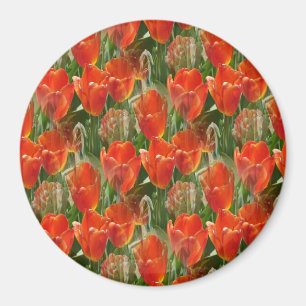 Field of Tulips..... Magnet