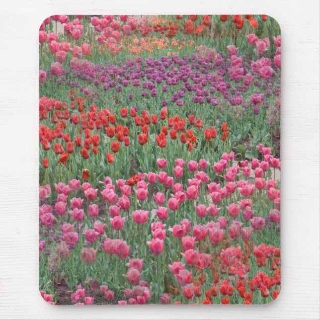 Field Of Tulips Mouse Mat (Front)