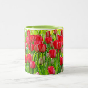 Field of tulips Mug