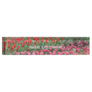 Field Of Tulips Nameplate