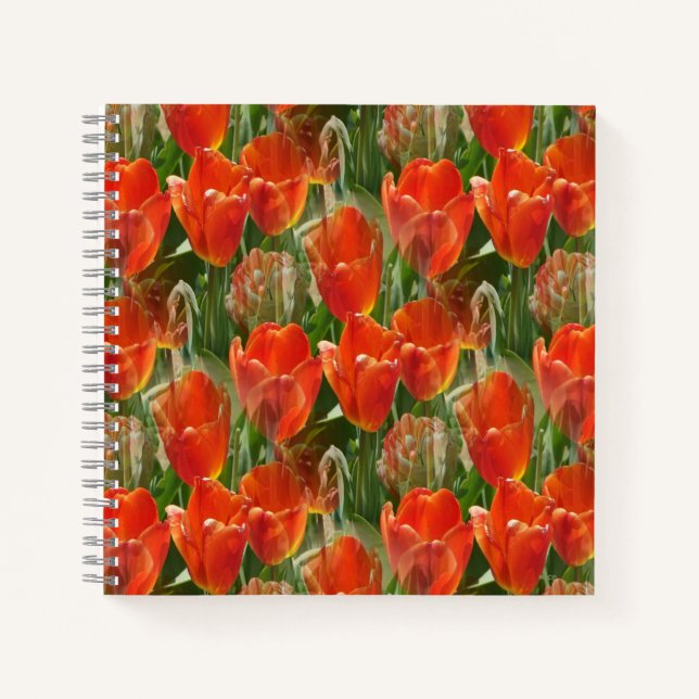 Field of Tulips....... Notebook (Front)
