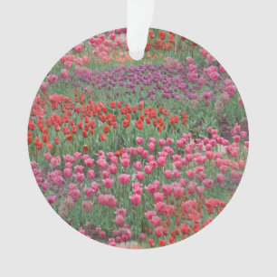 Field Of Tulips Ornament