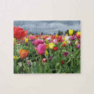 Field of Tulips Puzzle