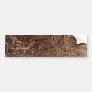 Field of Wheat (by Eugène Atget) Bumper Sticker