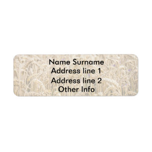 Field Of Wheat, Golden Grains