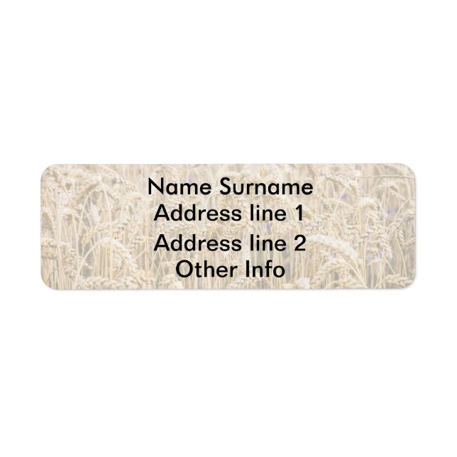 Field Of Wheat, Golden Grains (Front)