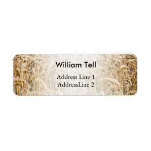 Field Of Wheat, Golden Grains