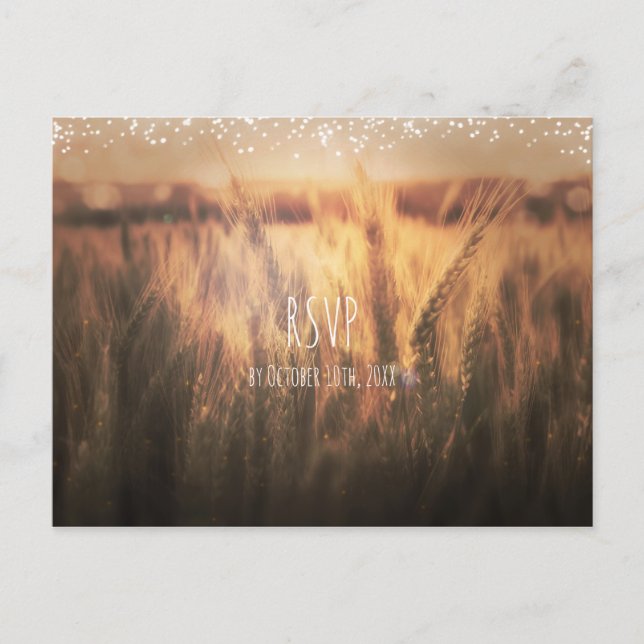 Field of Wheat Rustic Country Wedding RSVP Invitation Postcard (Front)