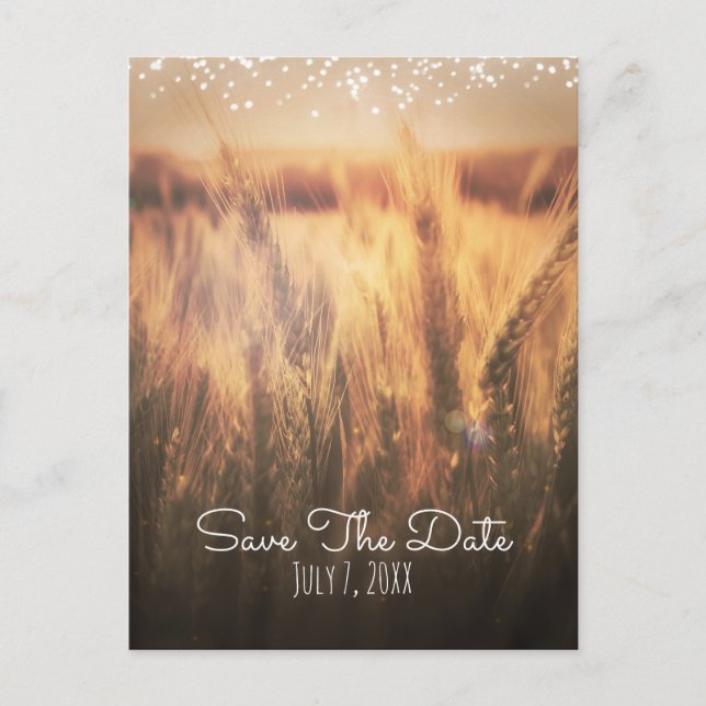 Field of Wheat Rustic Country Wedding Save Date Announcement Postcard (Front)