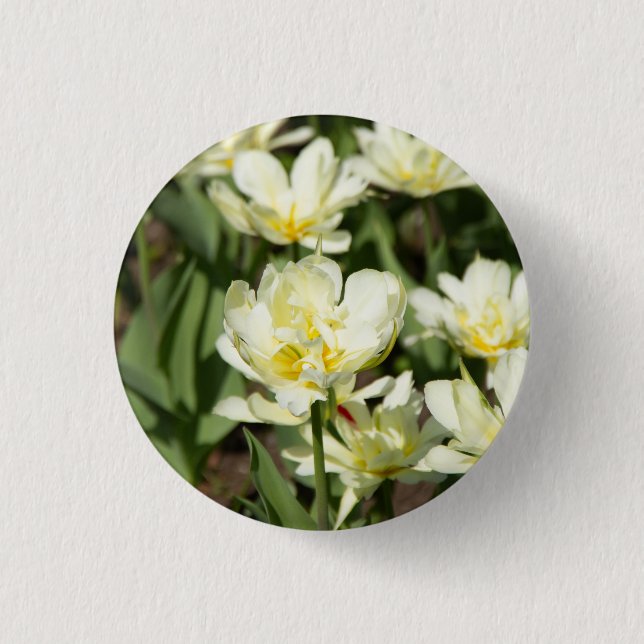 Field of white tulips Photo 3 Cm Round Badge (Front)