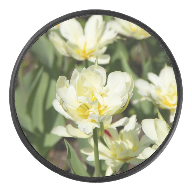 Field of white tulips Photo Hockey Puck (Front)