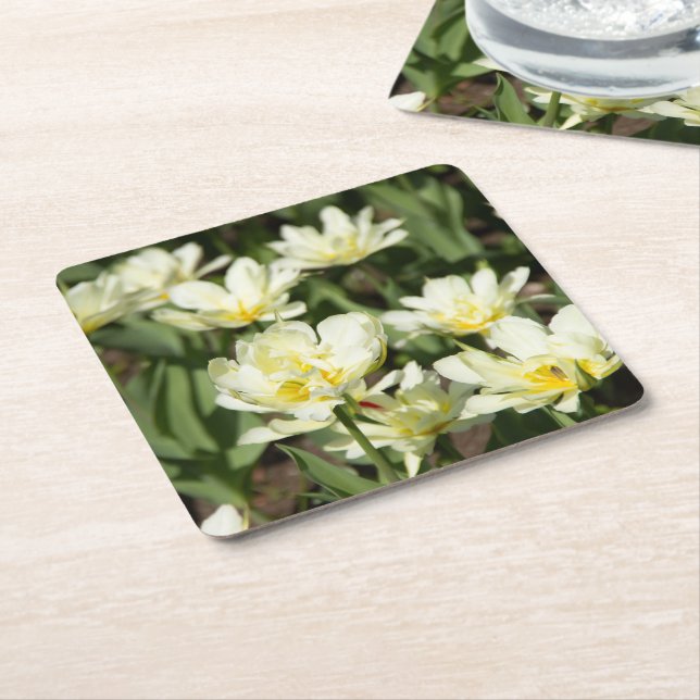 Field of white tulips Photo Square Paper Coaster (Angled)