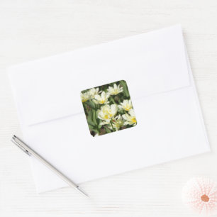 Field of white tulips Photo Square Sticker