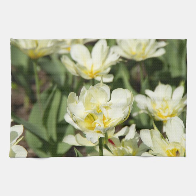 Field of white tulips Photo Tea Towel (Horizontal)