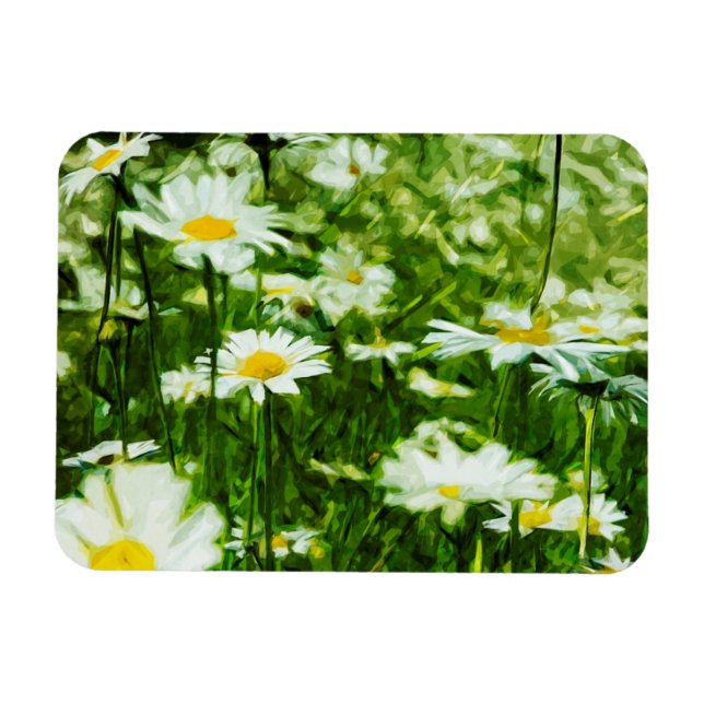 Field of White Wild Daisies Abstract Magnet (Horizontal)