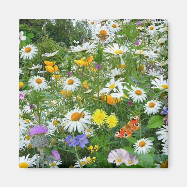 Field of Wildflowers Magnet (Front)