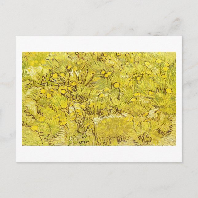 Field of Yellow Flowers, Vincent van Gogh Postcard (Front)