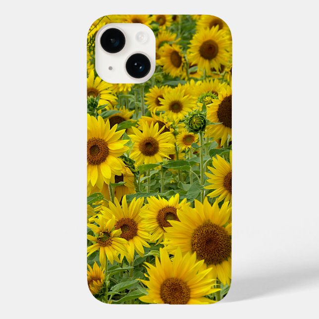 Field of Yellow Sunflowers Case-Mate iPhone Case (Back)