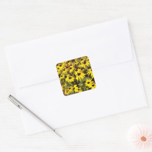 Field of Yellow Wildflowers Square Sticker