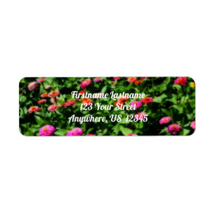 Field Of Zinnias Flower Orton Effect  Address