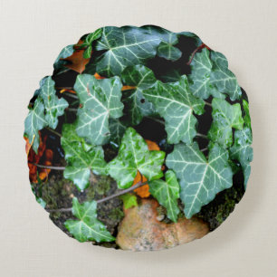 Field stone and Ivy Round Cushion