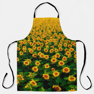 Field with bright yellow sunflowers in sunny day. apron