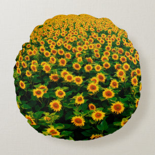 Field with bright yellow sunflowers in sunny day.  round cushion