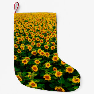 Field with bright yellow sunflowers in sunny day. small christmas stocking