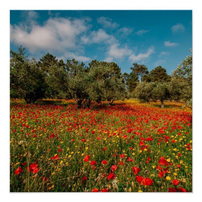 field with flowers and trees poster (Front)