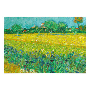Field with Irises near Arles by Vincent van Gogh Photo Print