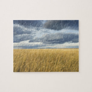 Field with storm clouds jigsaw puzzle