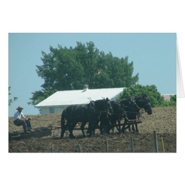 Field Work with Horses (Front Horizontal)